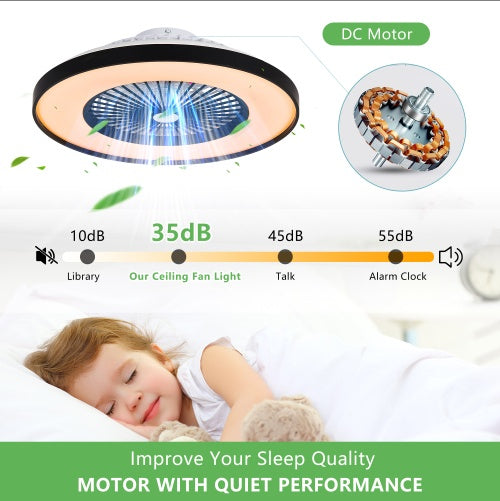 Fan Light